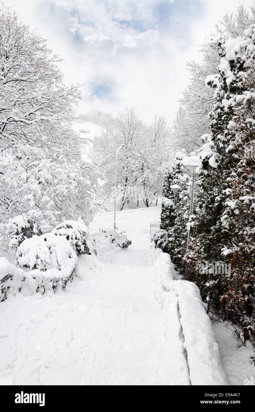 Magic view winter park hi-res stock photography and images - Alamy
