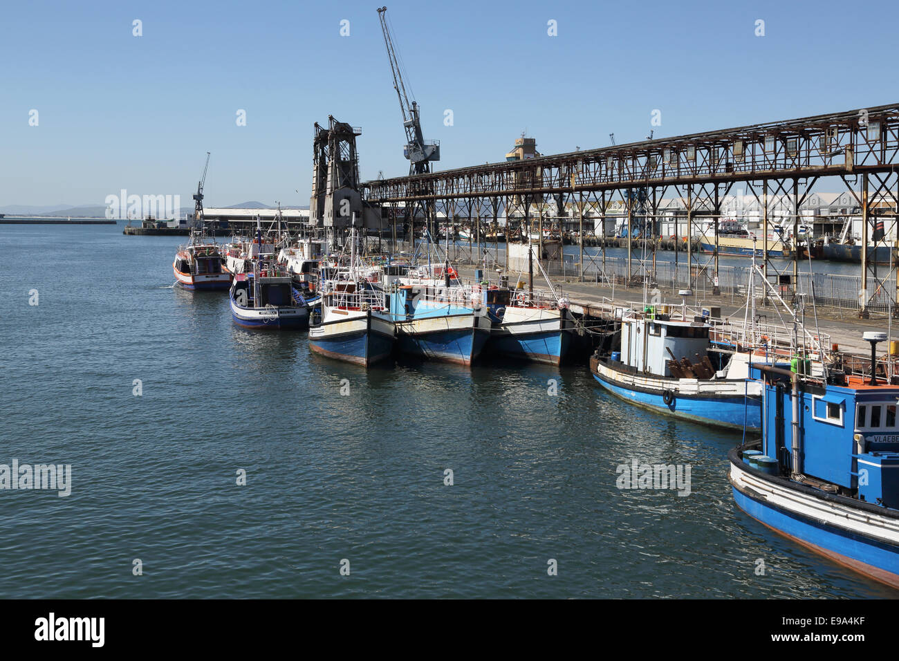 cape town fishing harbour Stock Photo - Alamy