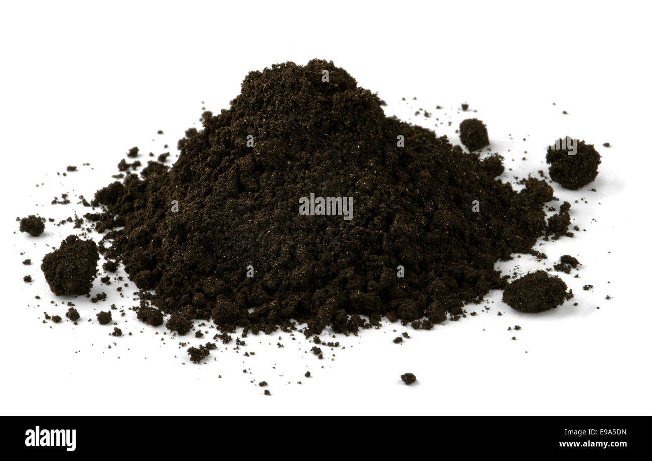 Black soil Stock Photo