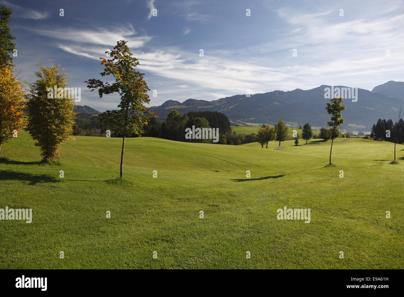 Golf Course Oberallgaeu Stock Photo - Alamy