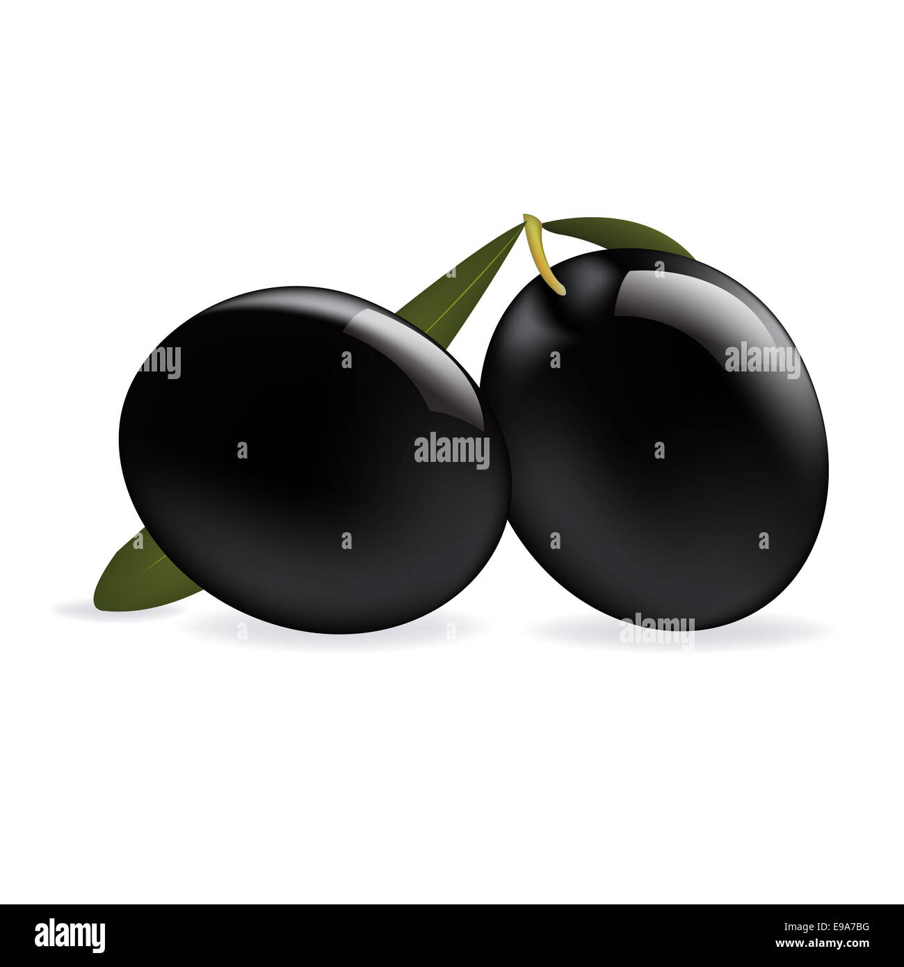 Olive Tree Tunisia Cut Out Stock Images Pictures Alamy