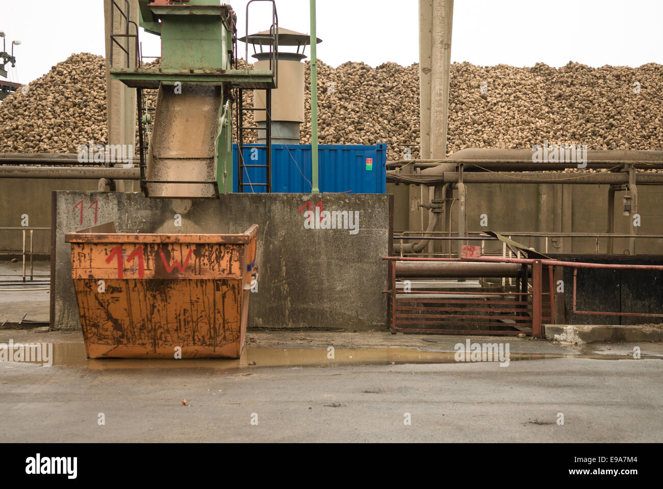 Beet stock in a sugar factory Stock Photo
