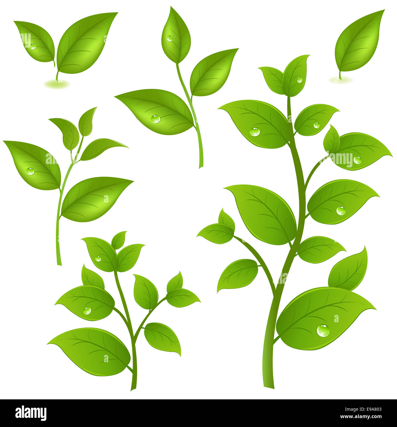 Collection of branches hires stock photography and images Alamy
