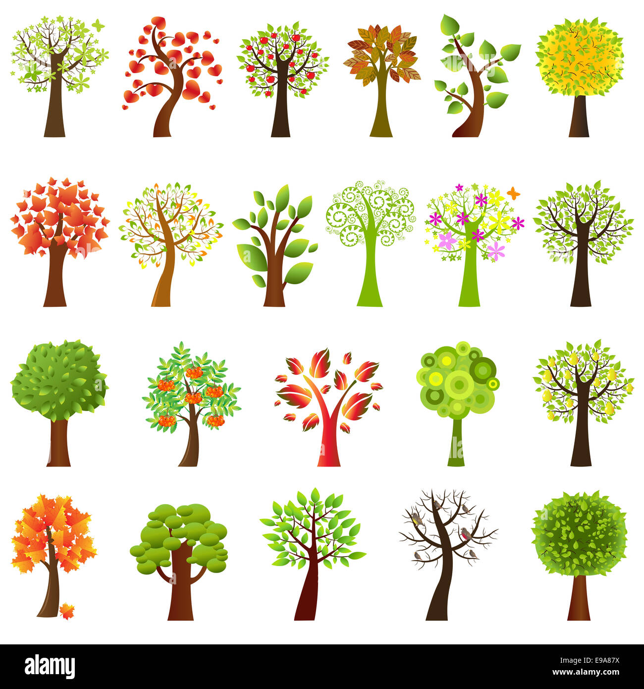Collection Of Trees Stock Photo Alamy