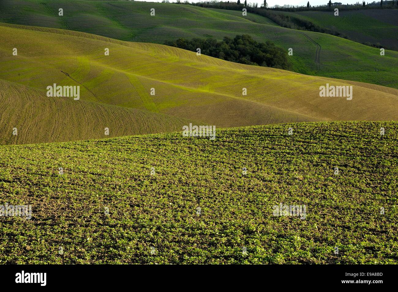 Tuscan countryside hills hi-res stock photography and images - Alamy