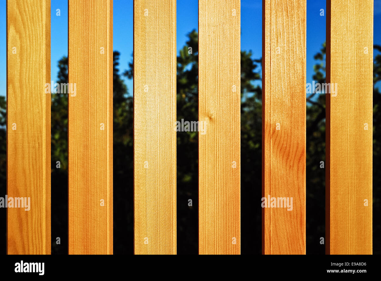 Parallel Lines In Real Life