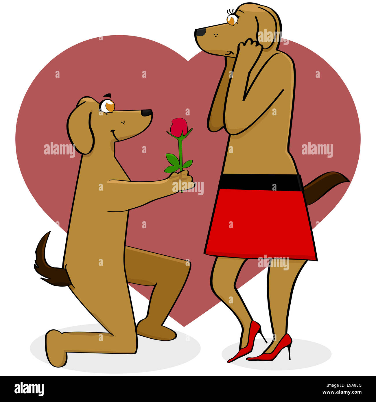 Dogs in love Stock Photo