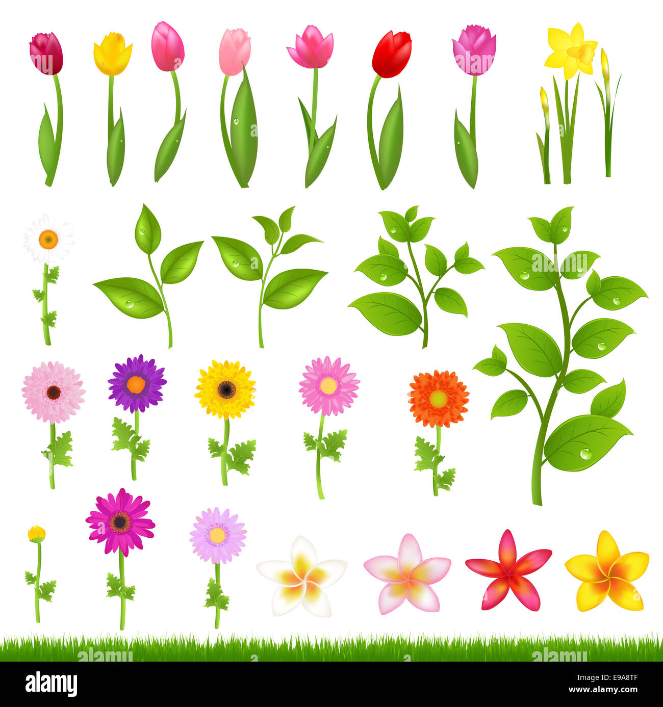 Flower borders hi-res stock photography and images - Alamy