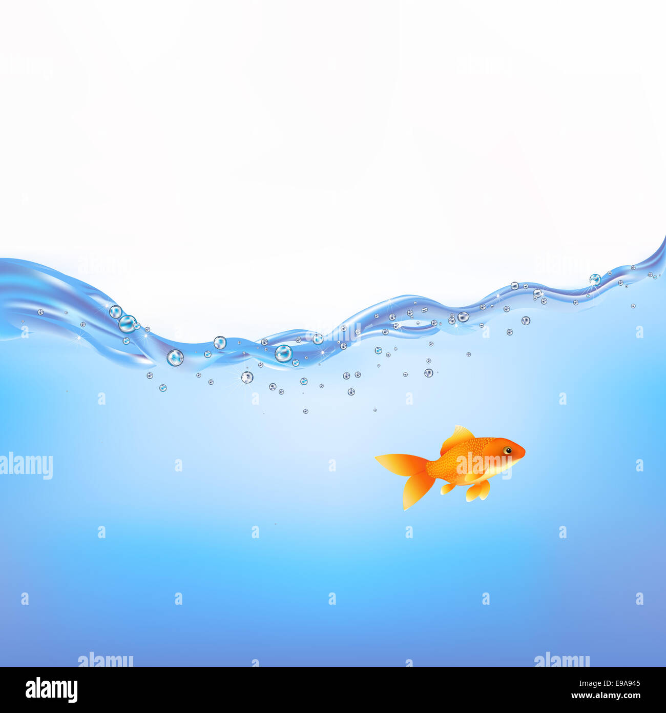 Goldfish In Water Stock Photo Alamy