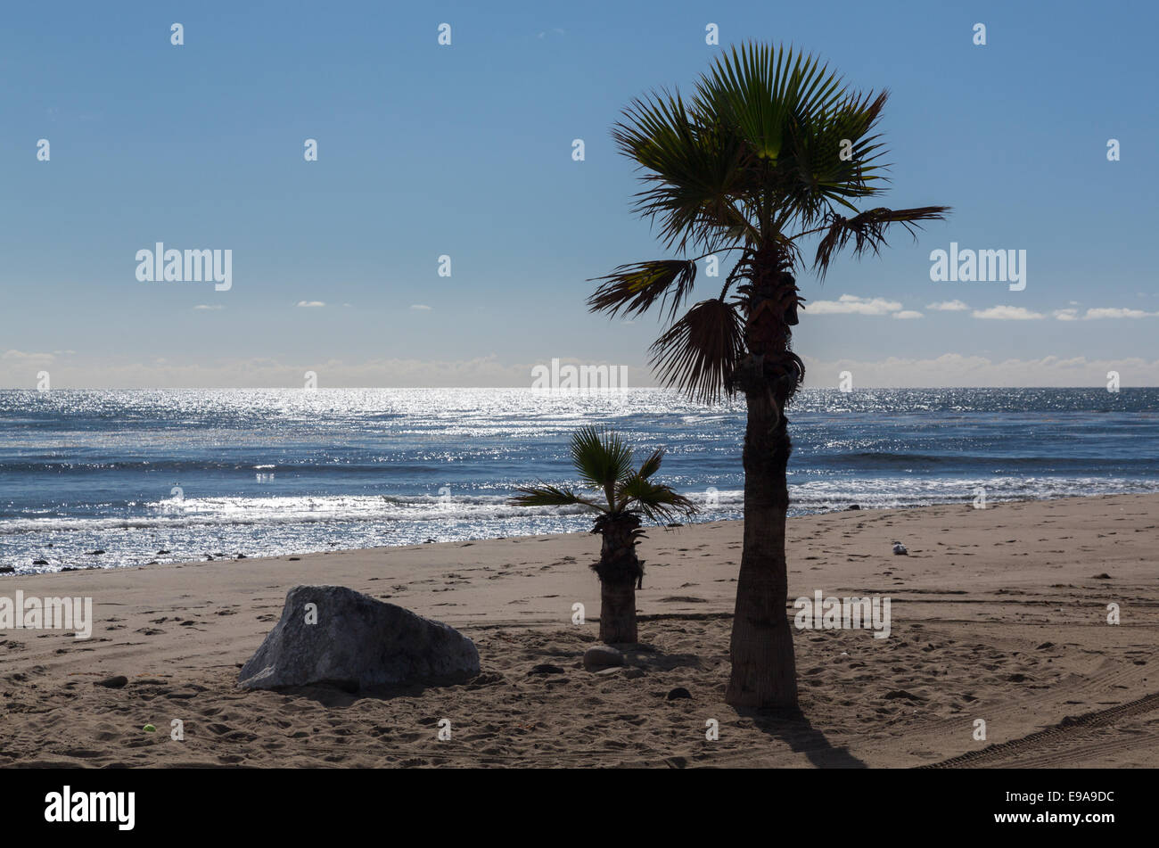 Two palm trees and rock on beach Stock Photo