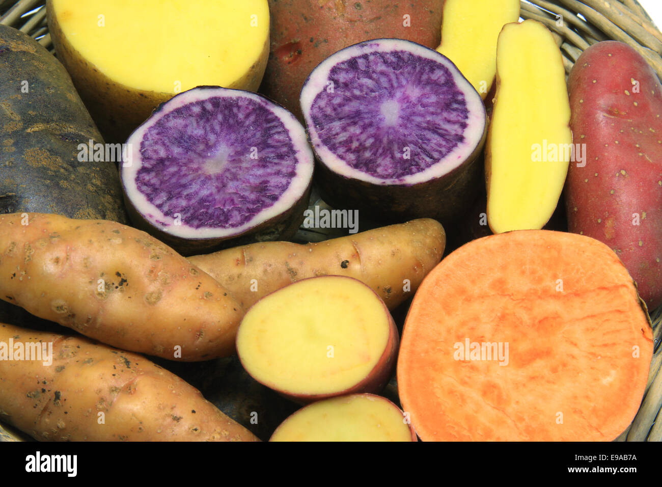Potatoes and a sweet potato Stock Photo