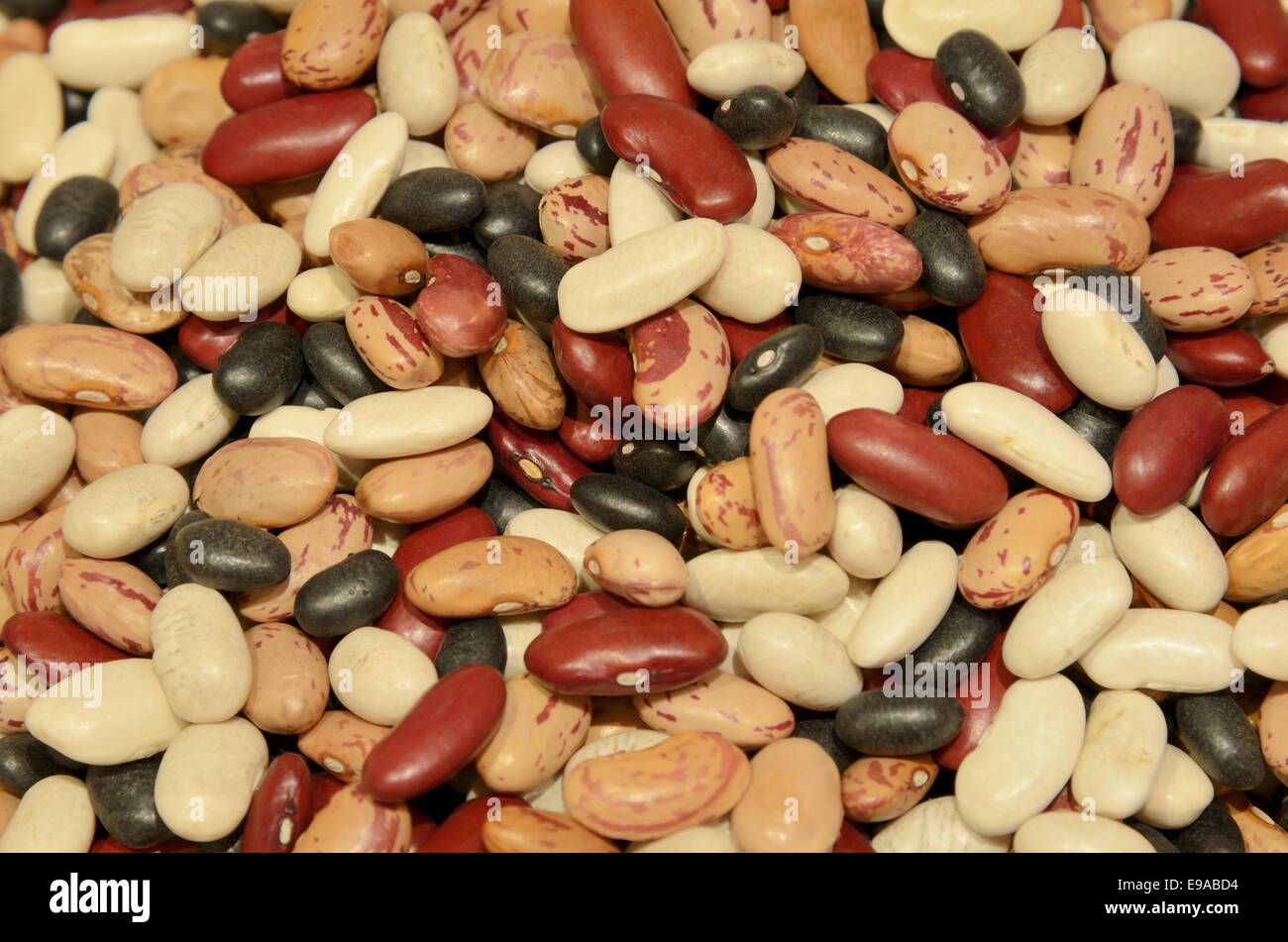 Mixed dry beans Stock Photo Alamy