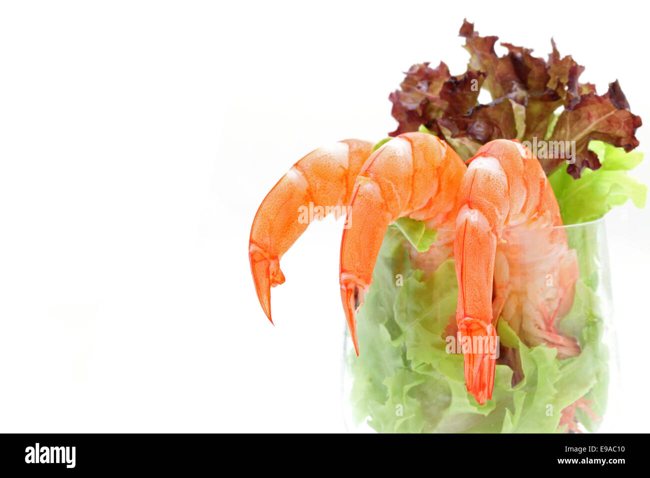 King prawn tail Cut Out Stock Images & Pictures Alamy