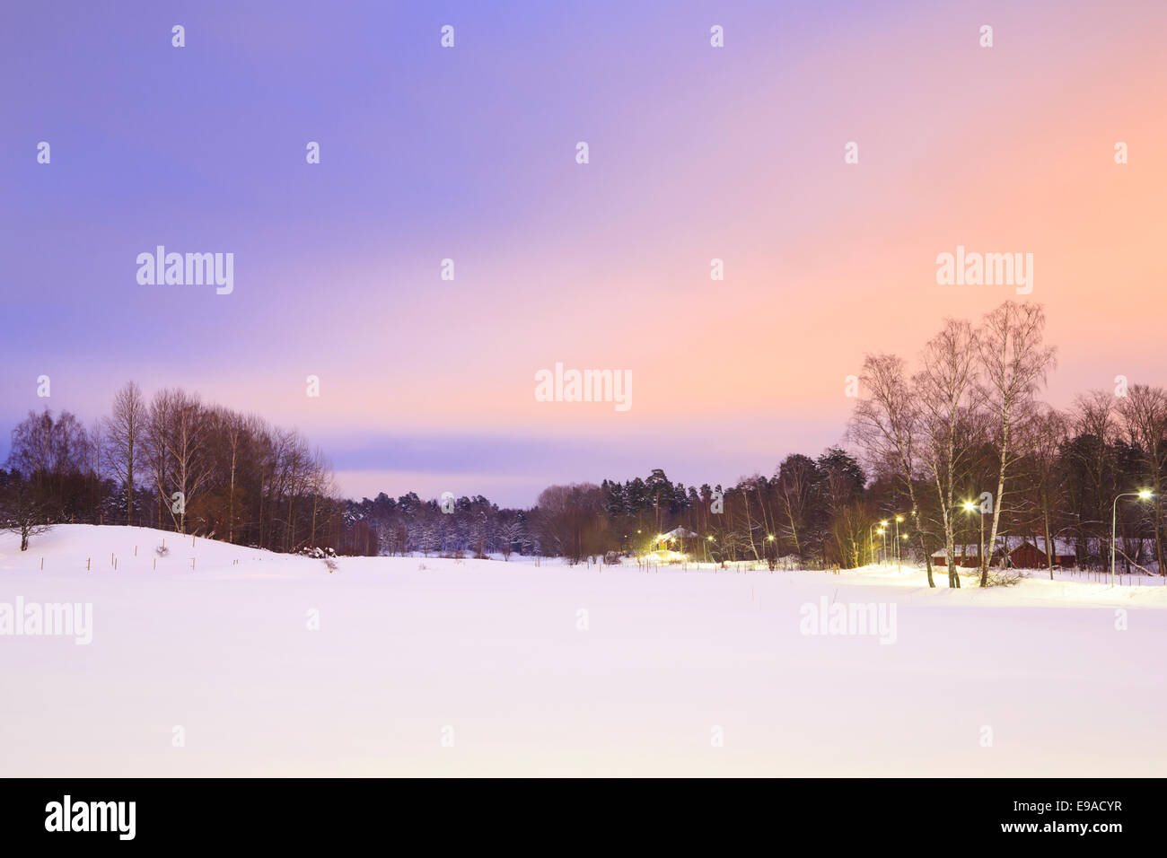 Stockholm snow tree winter cold hi-res stock photography and images - Alamy