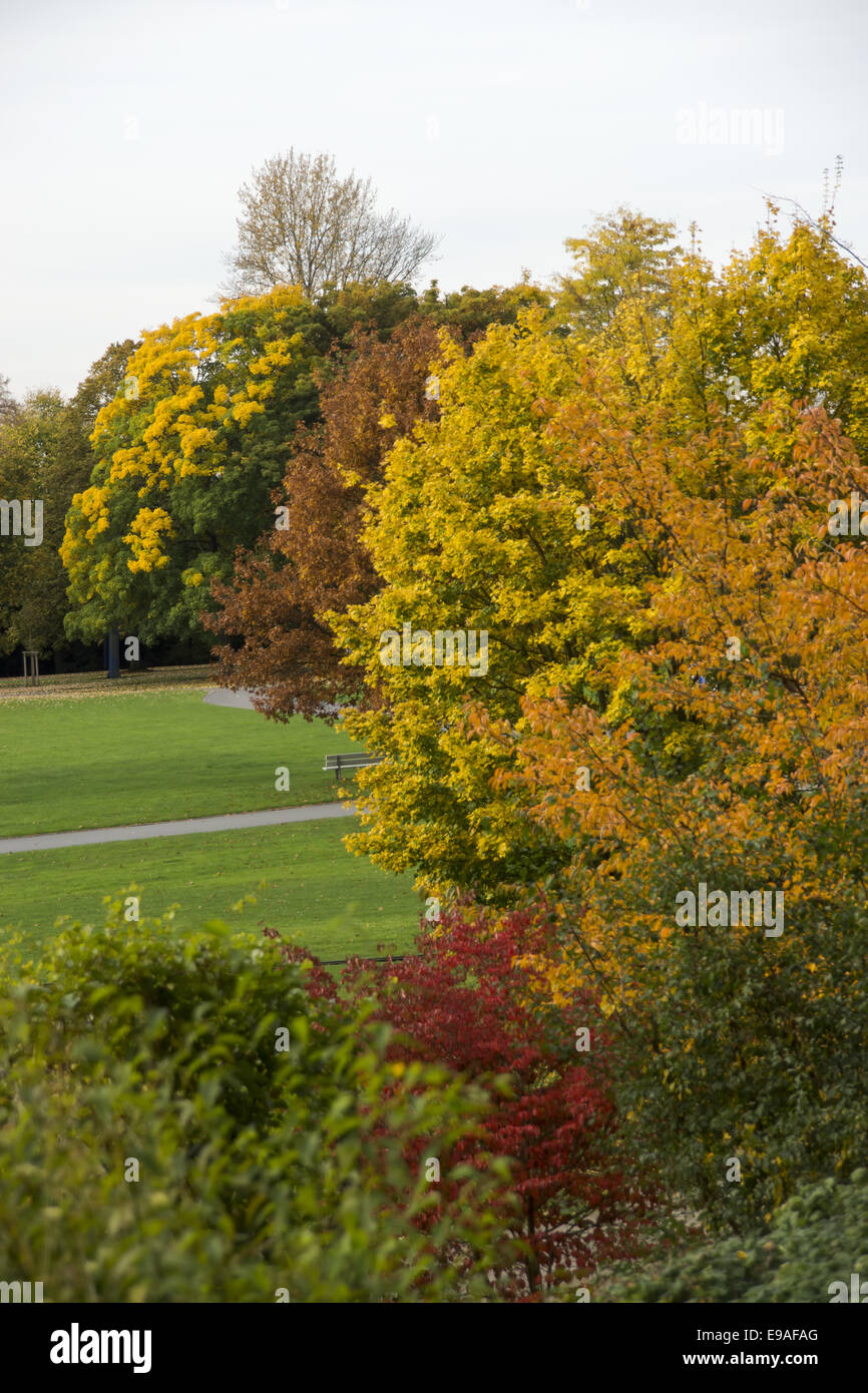 Autumnally forest Stock Photo