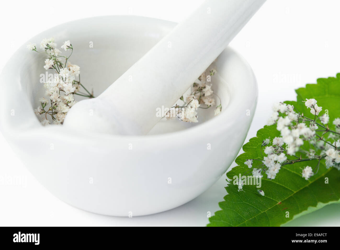 Mortar and pestle with flowers and leaf Stock Photo Alamy