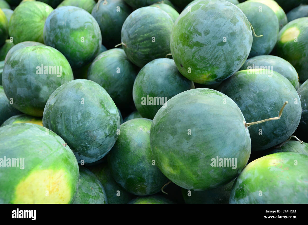 Bunch Of Melons High Resolution Stock Photography and Images Alamy