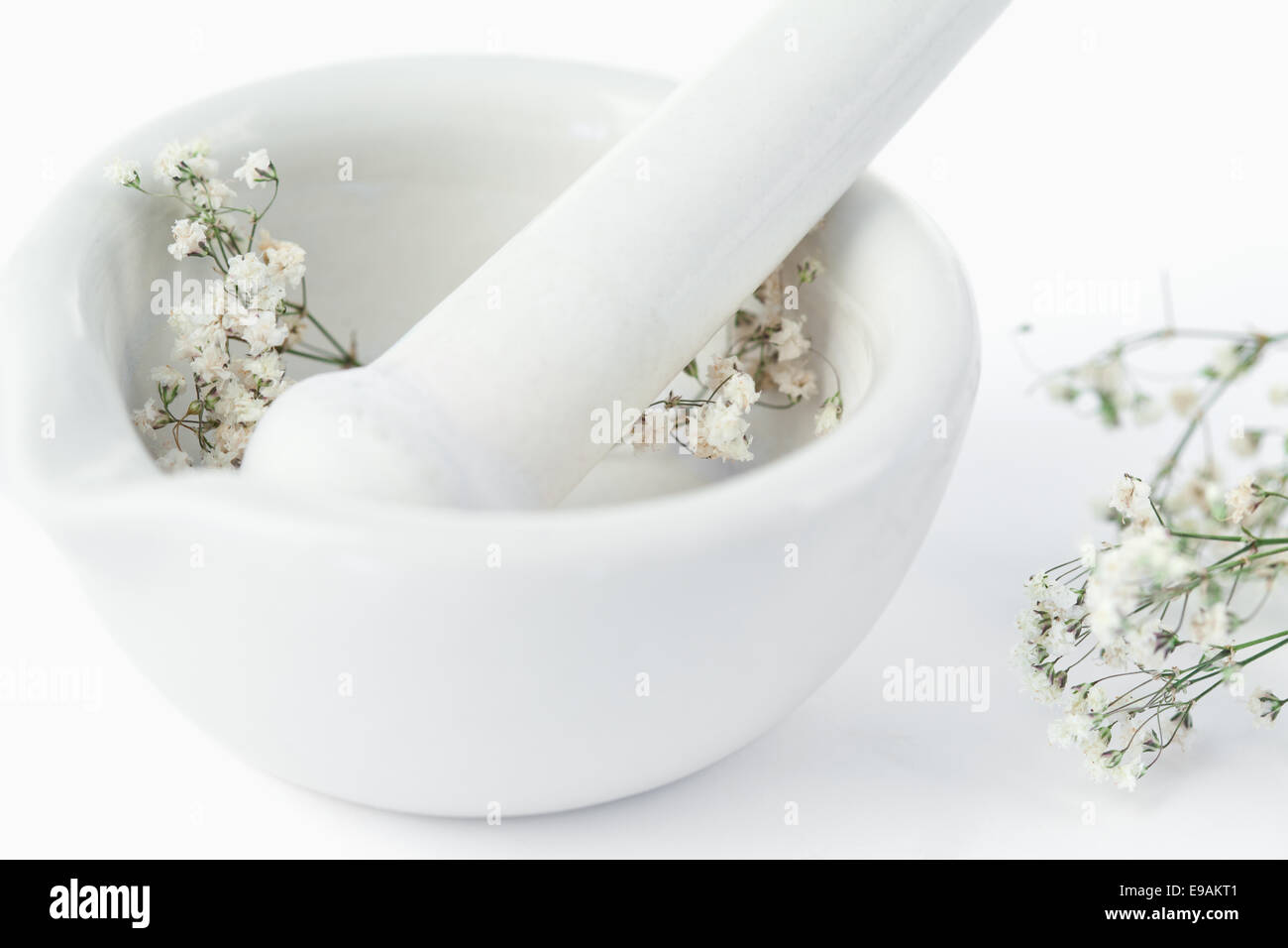 Mortar and pestle with flowers Stock Photo