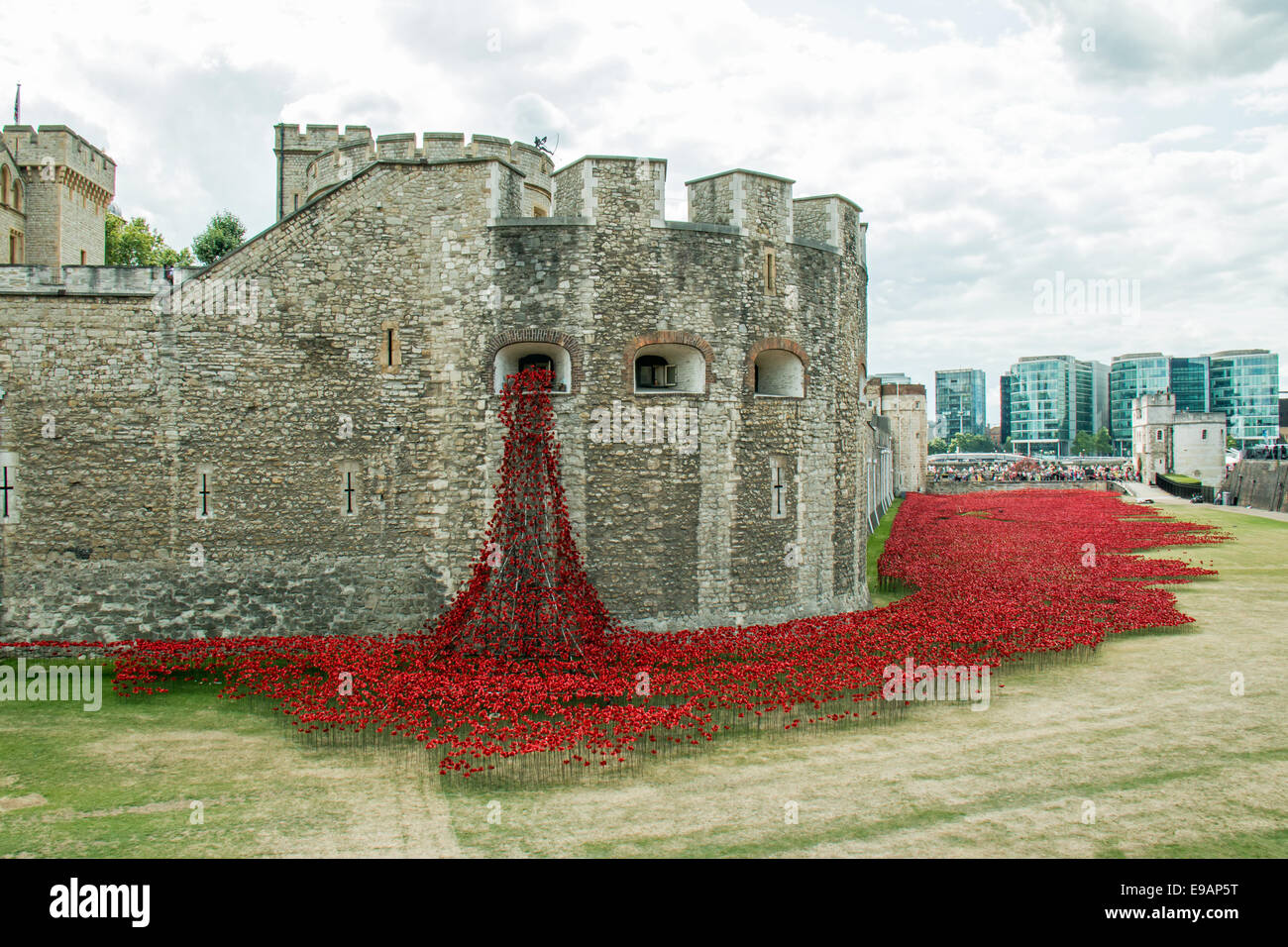 Tower of London display of ceramic poppies commemorating the fallen and the centenary of the start of the First World War. Stock Photo