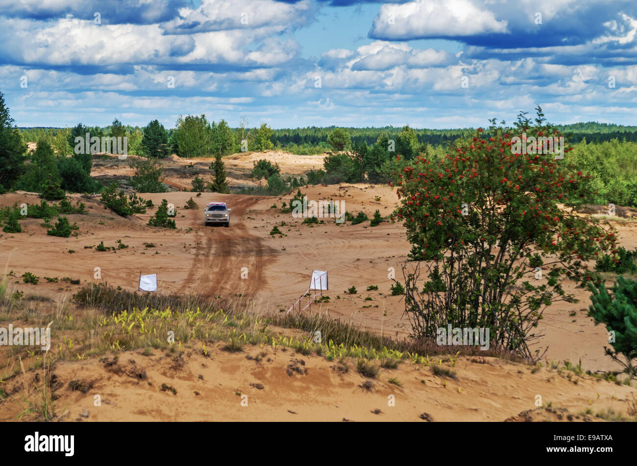Races on a rally-raid on sandy dunes. Racing car number 211 Stock Photo ...