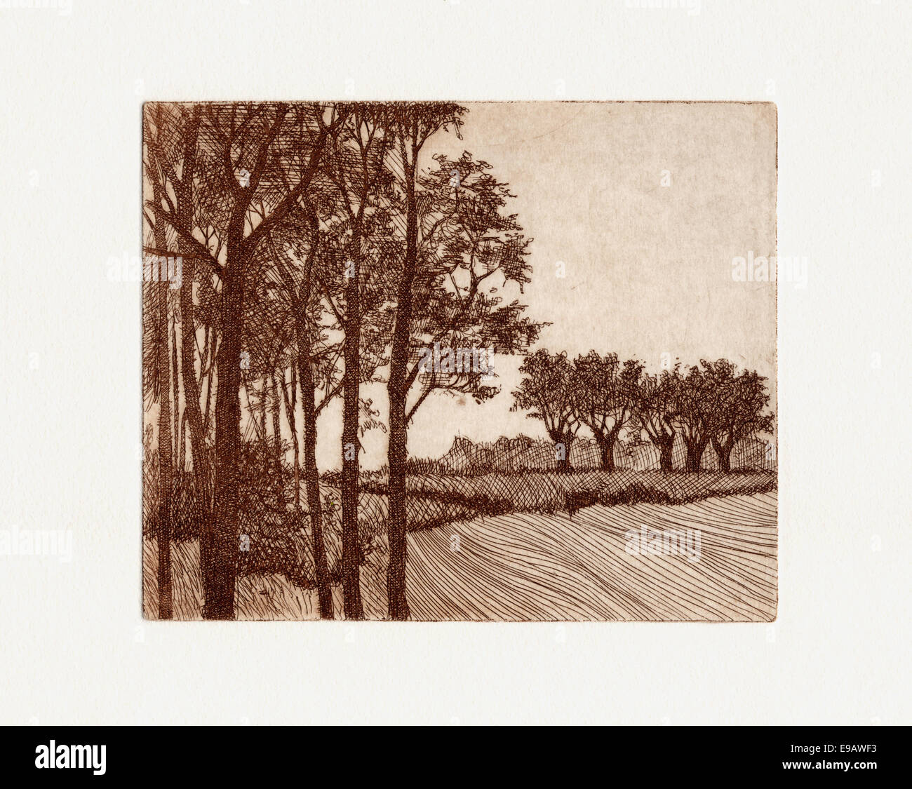 sepia etching - landscape Stock Photo