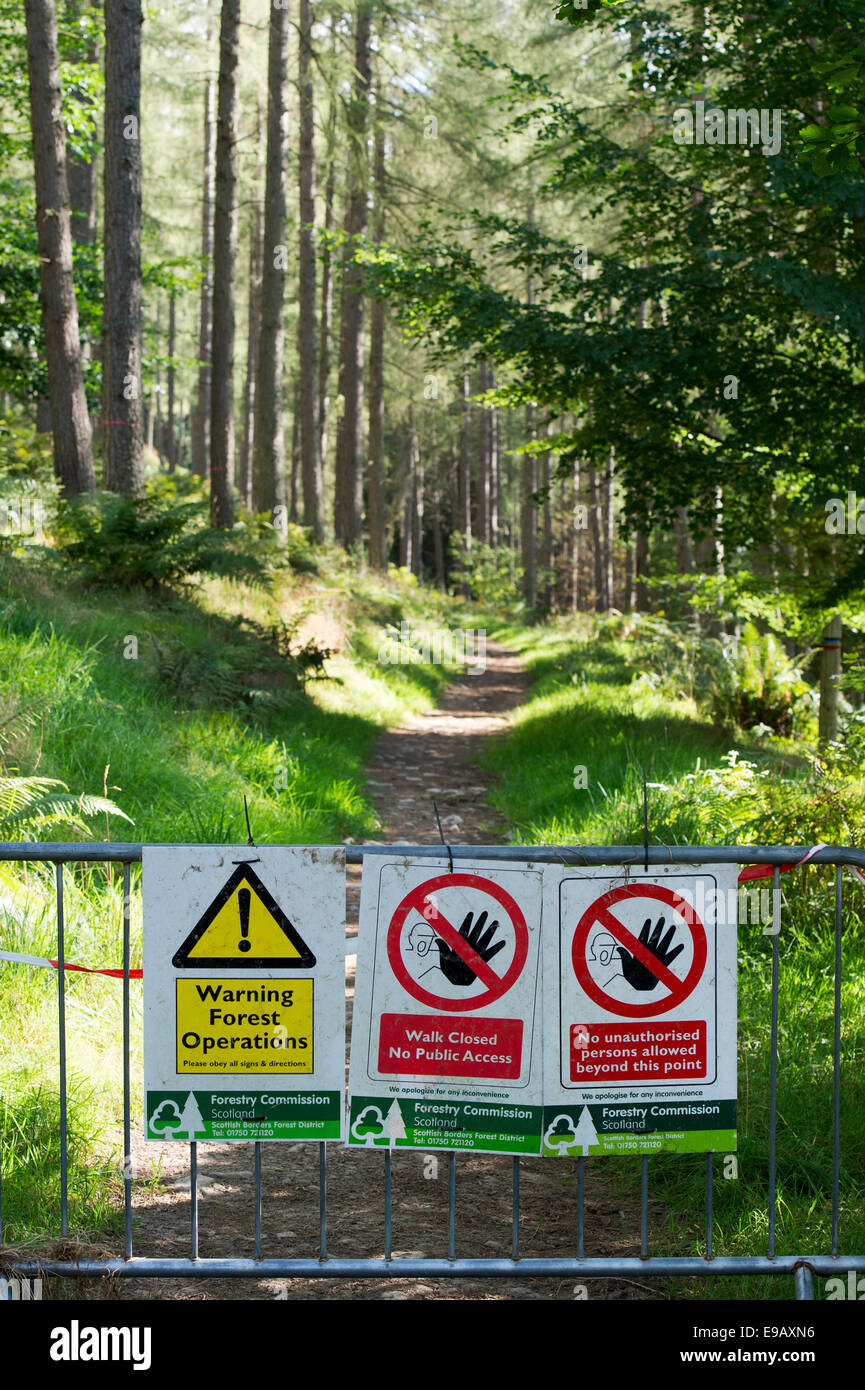 Forest Walk closed signs due to forest operations in a scottish woodland. Scotland Stock Photo
