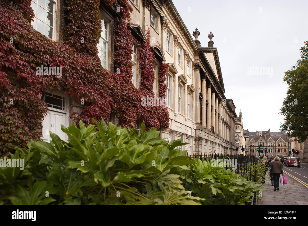 UK, England, Wiltshire, Bath, Queen’s Square, elegant creeper covered building along north side