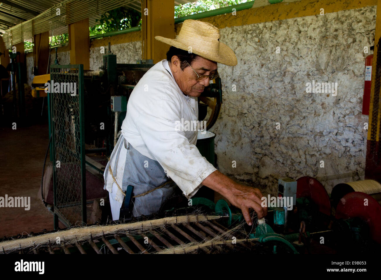 Sisal worker at the Hacienda de Sotuta de Peon, Mérida, Yucatán, Mexico Stock Photo