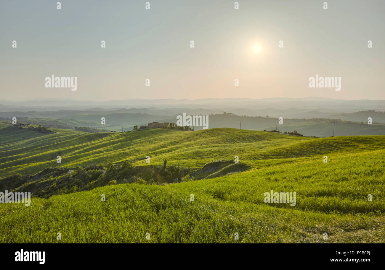 Hilly landscape of the Crete Senesi, Vescona Monteaperti, Tuscany, Italy Stock Photo