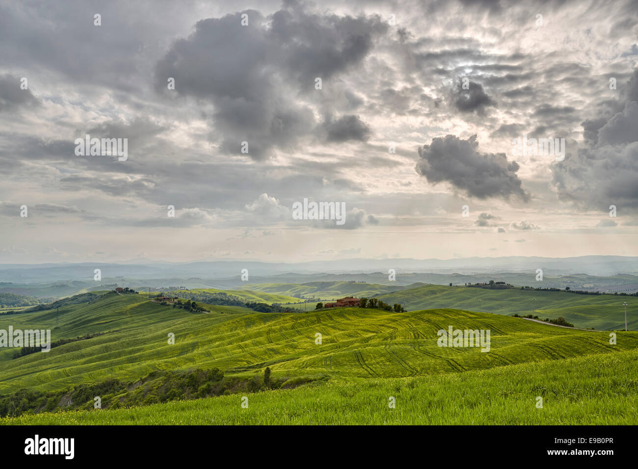 Hilly landscape of the Crete Senesi, Vescona Monteaperti, Tuscany, Italy Stock Photo