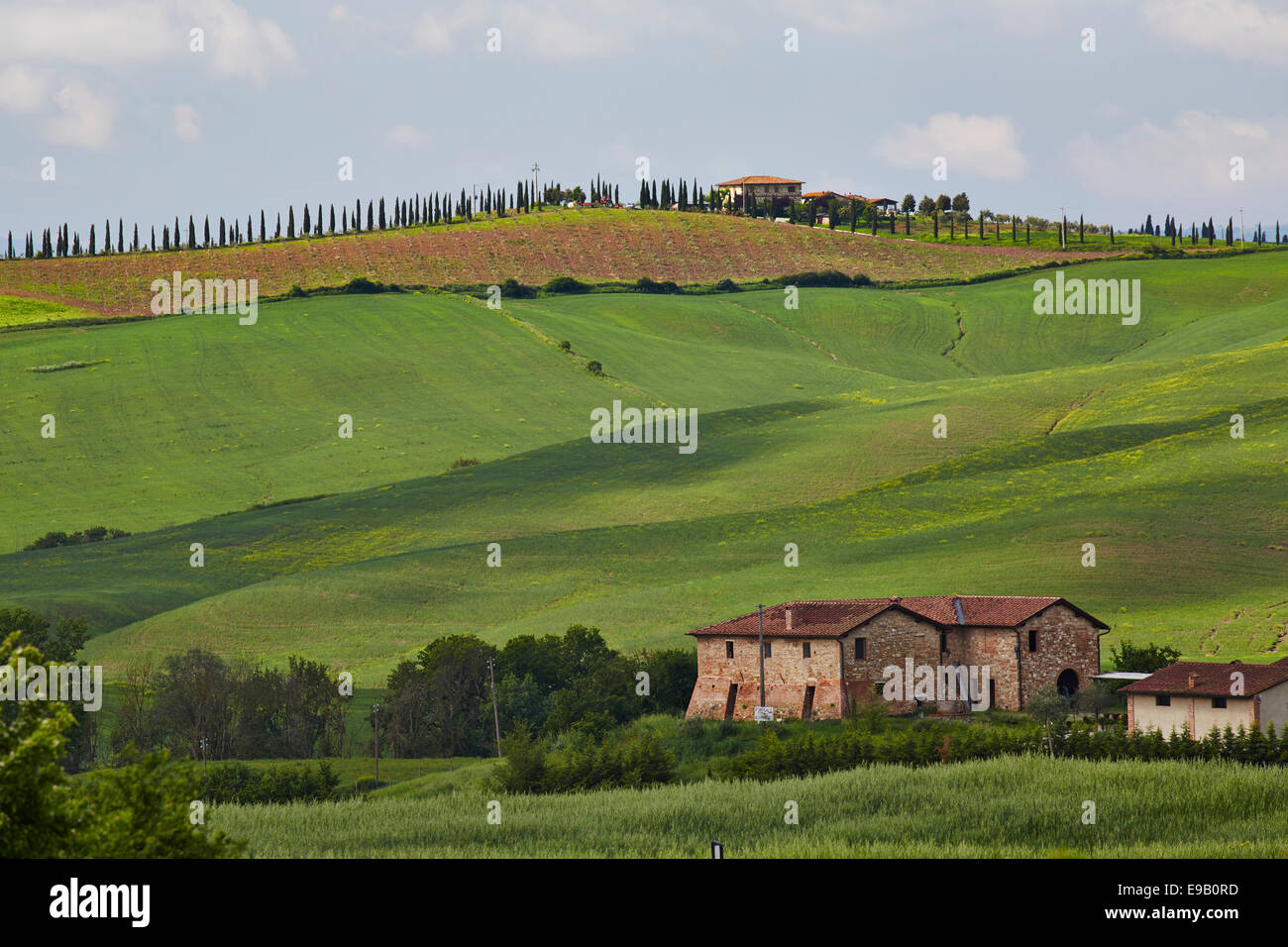 Hilly landscape of the Crete Senesi, Asciano, Arbia, Tuscany, Italy Stock Photo