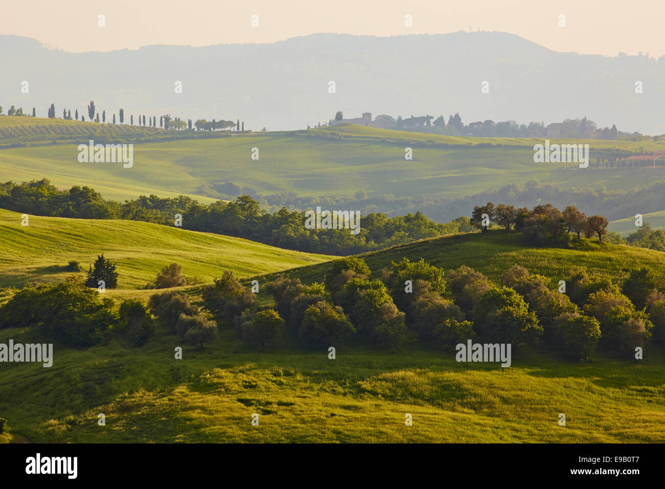 Hilly landscape of the Crete Senesi, Castelmuzio, Tuscany, Italy Stock Photo