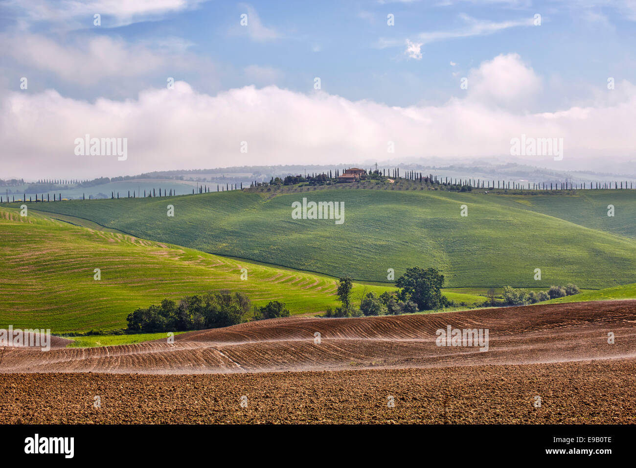 Hilly landscape of the Crete Senesi, Chiusure, Tuscany, Italy Stock Photo