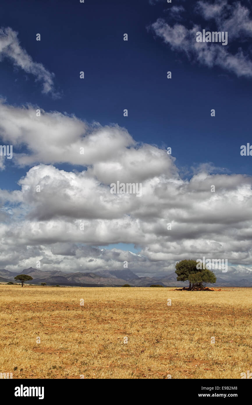 Landscape in the semi-desert Karoo in South Africa. Stock Photo