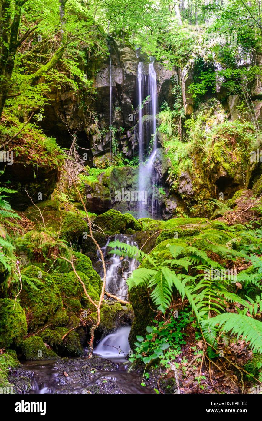 Waterfall, Cascade des Razes, Ferrieres-Saint-Mary, Cantal, Auvergne ...