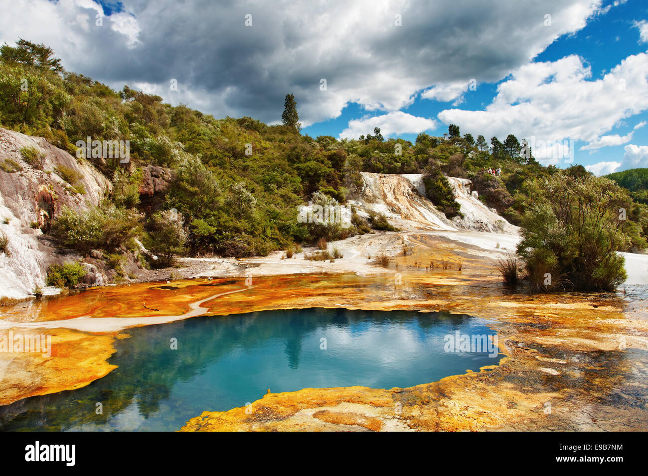 Hot spring in volcanic valley, New Zealand Stock Photo