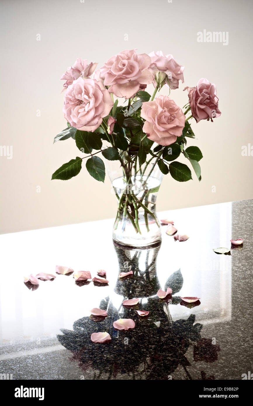 Pale Pink roses in a glass vase with scattered petals reflected in a