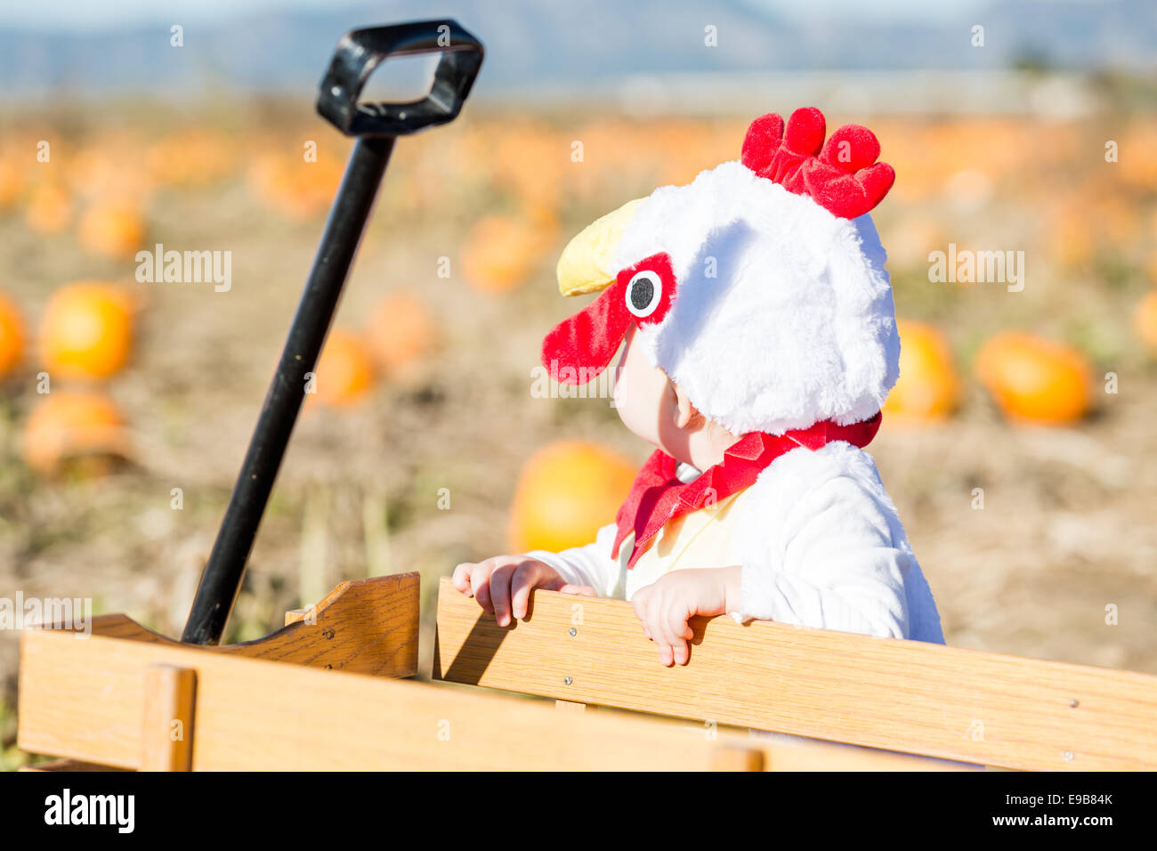 Kinderkostüm Sensenmann Mit Kürbismaske, 9-10 Jahre – Gruseliges Halloween Outfit