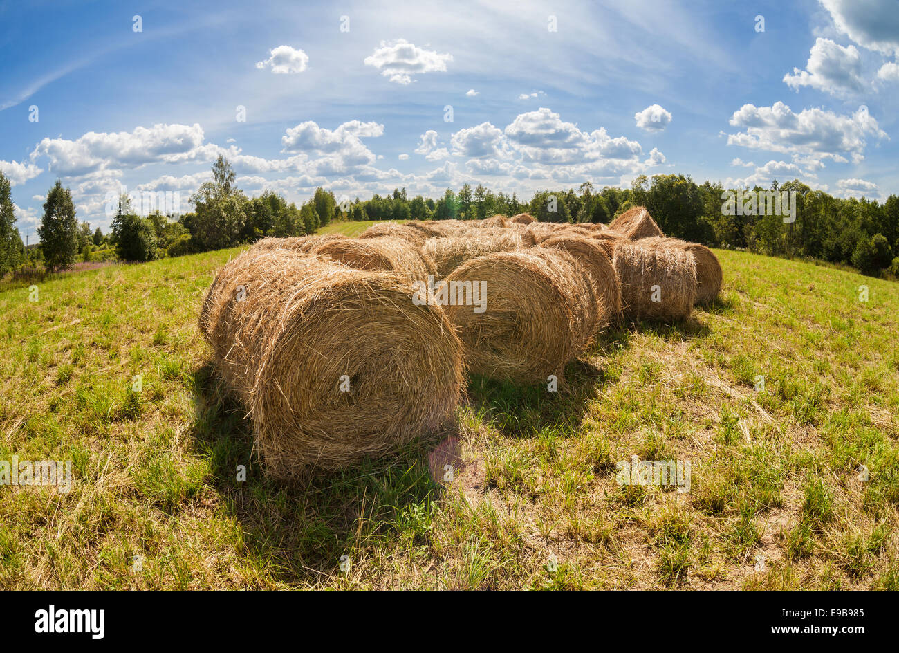 Straw bales on farmland with blue cloudy sky Stock Photo - Alamy
