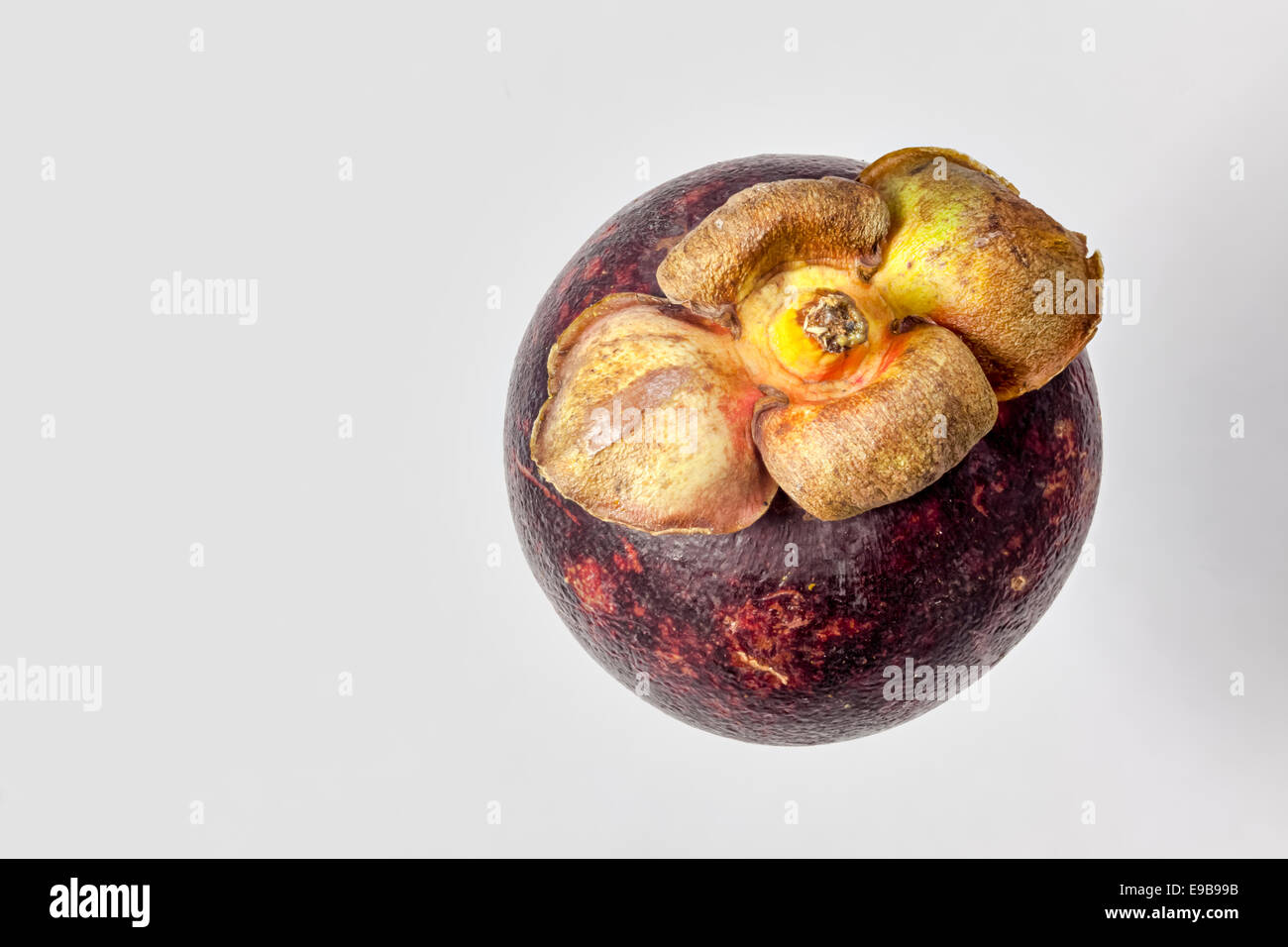 Purple Mangosteen, (Garcinia mangostana),a tropical fruit from South East Asia,  used for food and as a traditional medicine. Stock Photo