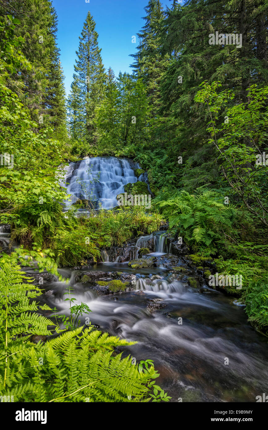 Waterfall on Salmon Creek below Upper Salmon Lake, Waldo Lake