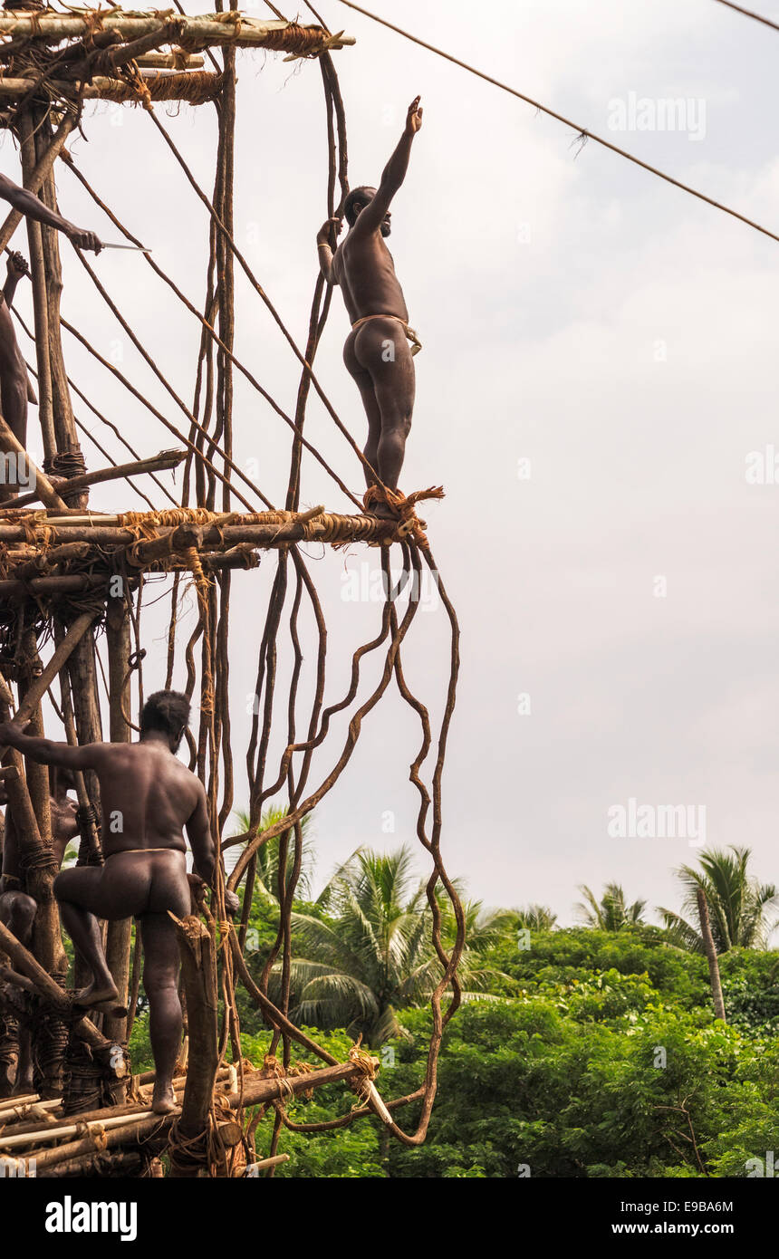 Land diver preparing to jump, Pentecost Island, Vanuatu, Oceania Stock