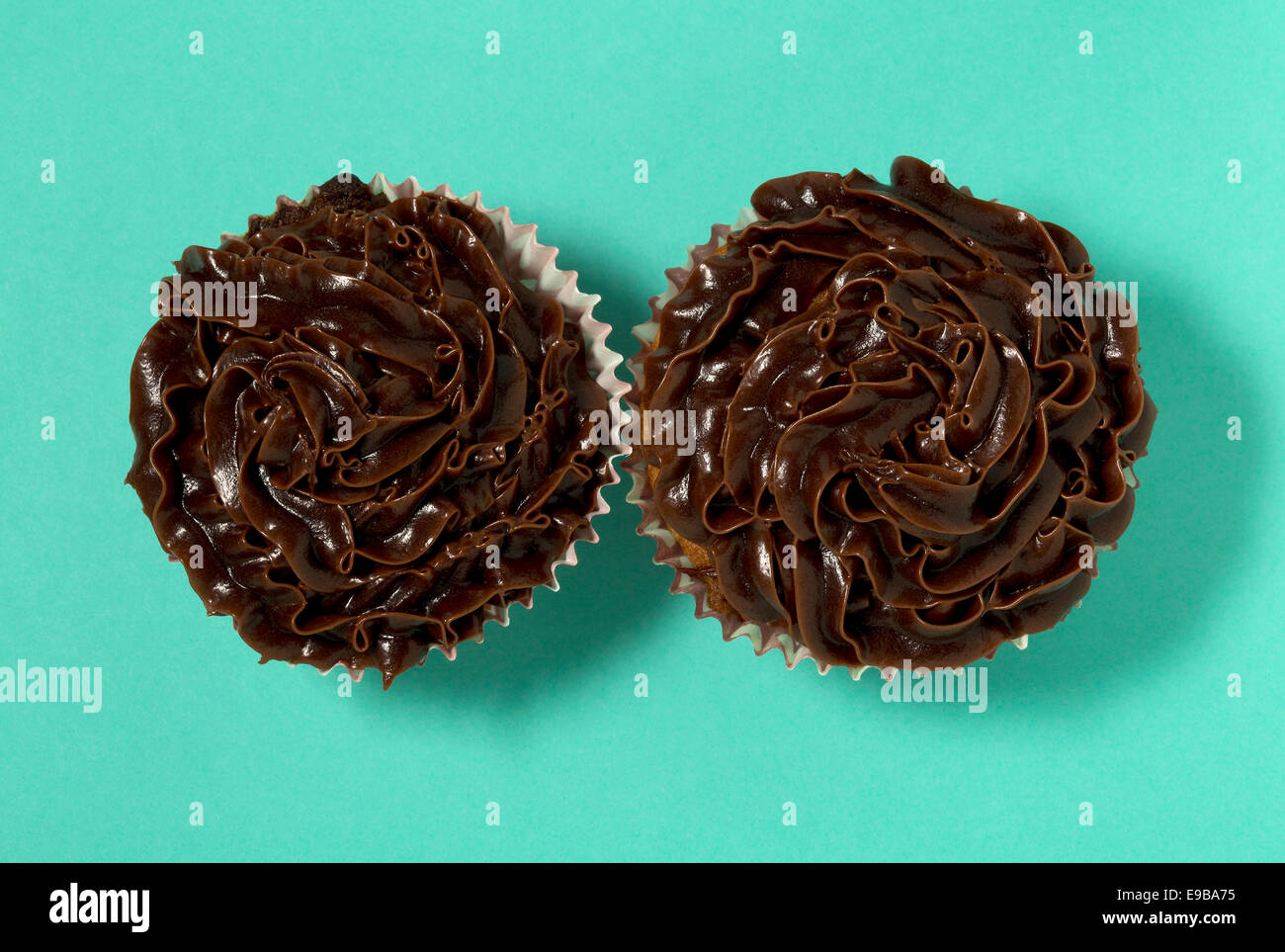 Two chocolate cupcakes on a turquoise background Stock Photo