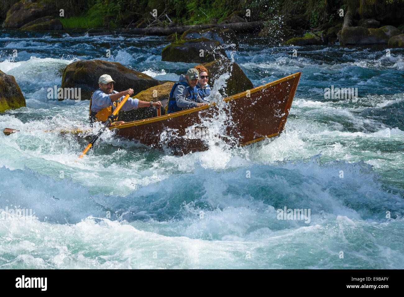 Guide Greg Hatten takes guests on his wooden drift boat through Marten Rapids on the McKenzie River, Oregon. Stock Photo