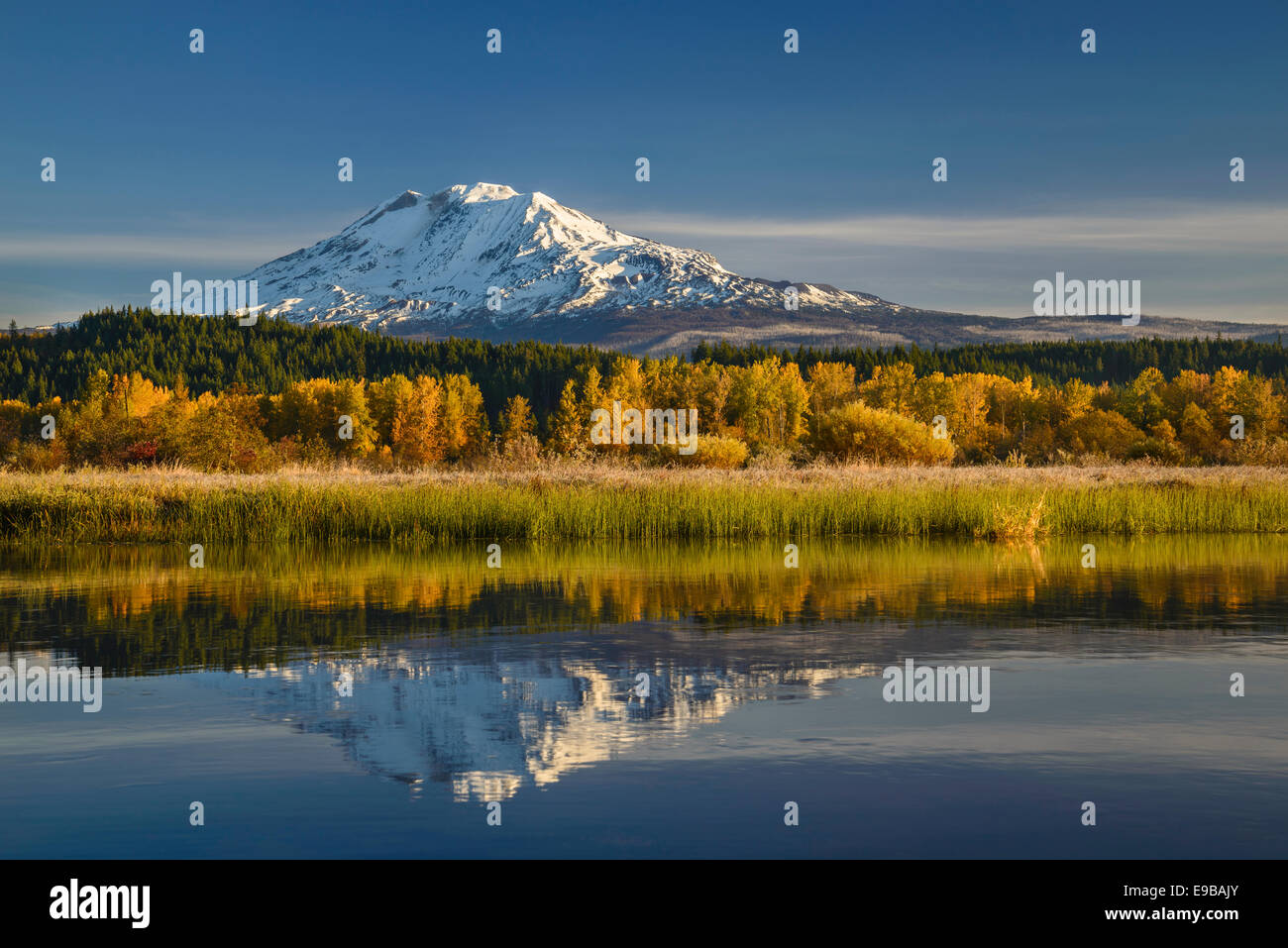 Mount Adams and Trout Lake Creek from Trout Lake Natural Area Preserve