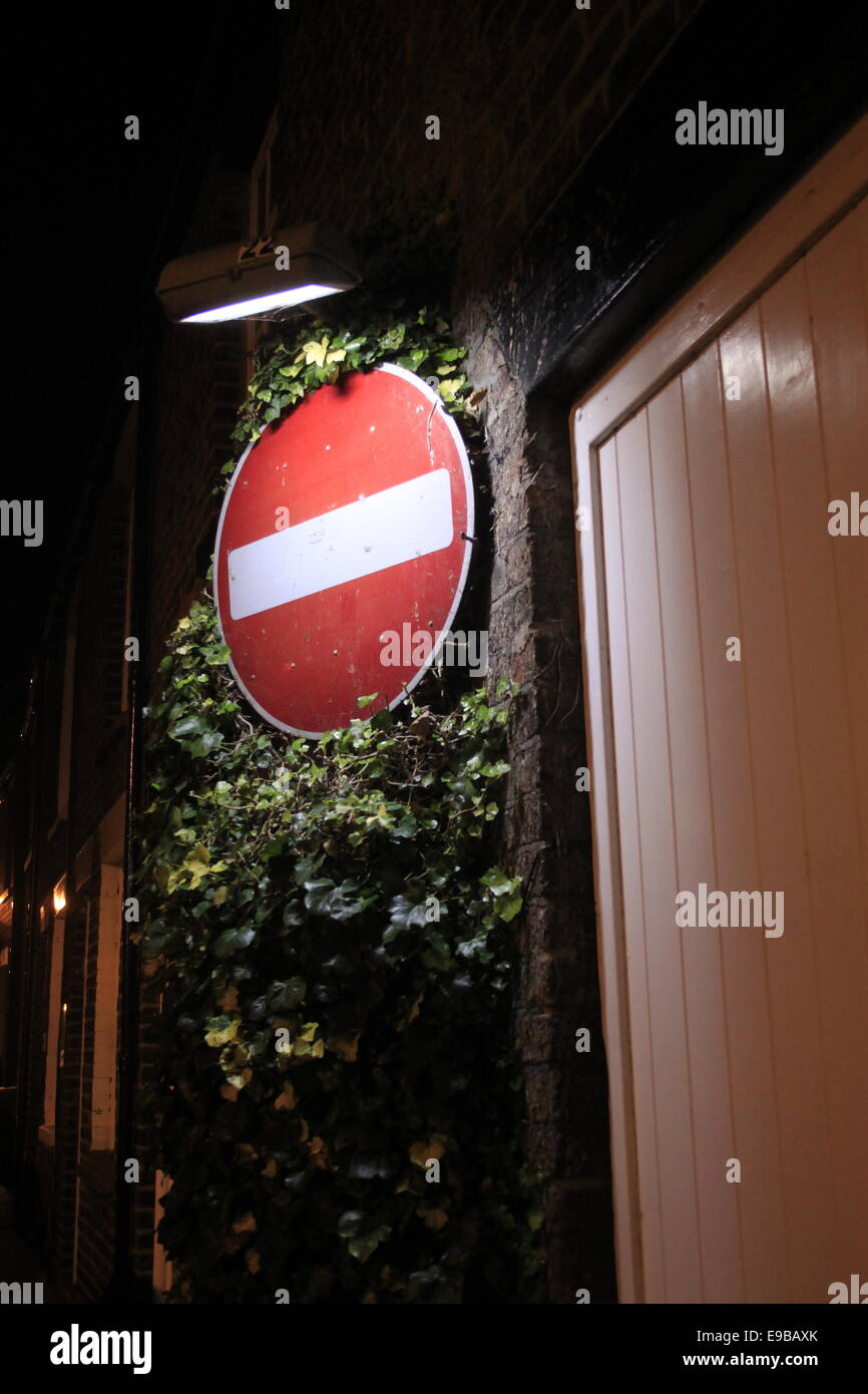 No entry red and white sign surrounded by ivy, lit up at night next to garage door. Stock Photo