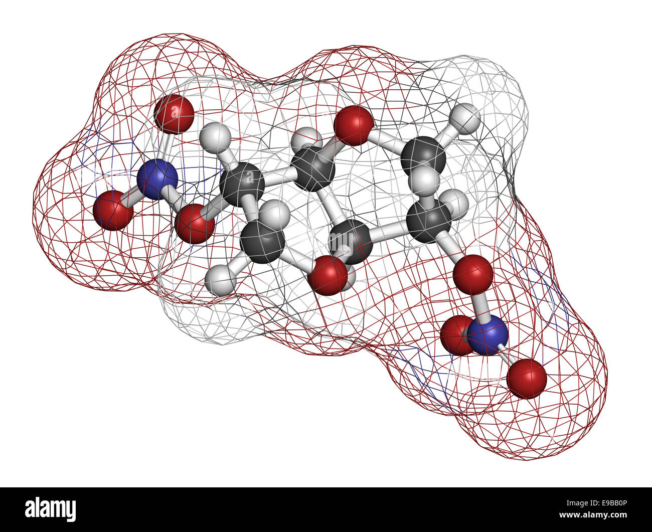 Vasodilator hires stock photography and images Alamy