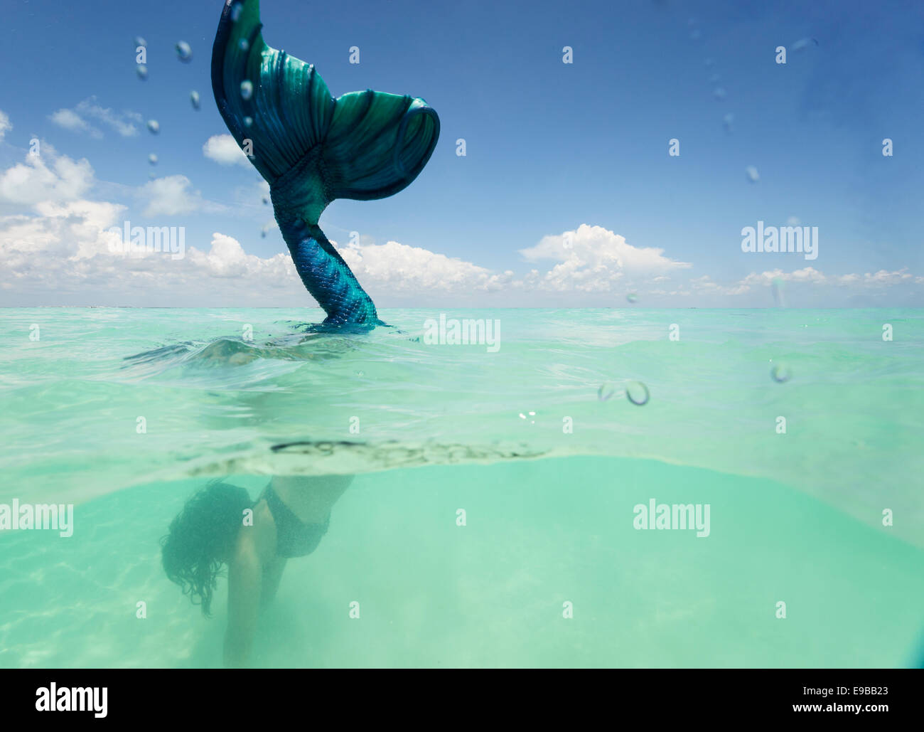 Mermaid raising her fluke into the air in the waters off Isla Mujeres, Mexico Stock Photo
