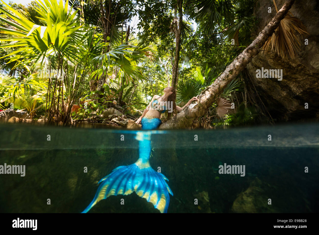 Redhead mermaid sitting on a tree with her tail in water enjoying the sun in Yucatan Peninsula, KuKulKan Cenote, QRoo, Mexico Stock Photo