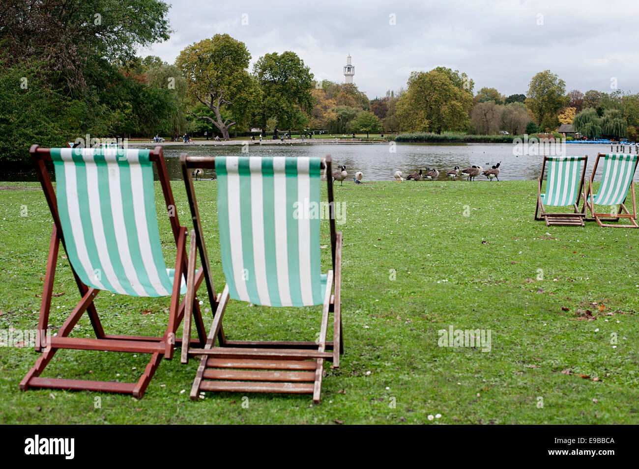 Autumn empty deckchairs in Regent's Park, London Stock Photo